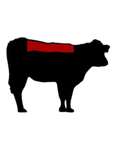 Entrecot de Ternera Ecológica | Carne Fresca de Calidad Superior 2