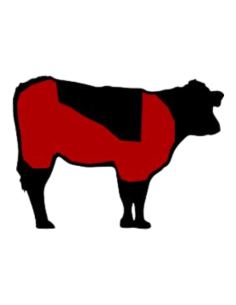 FRICANDÓ DE TERNERA ECOLÓGICA 2