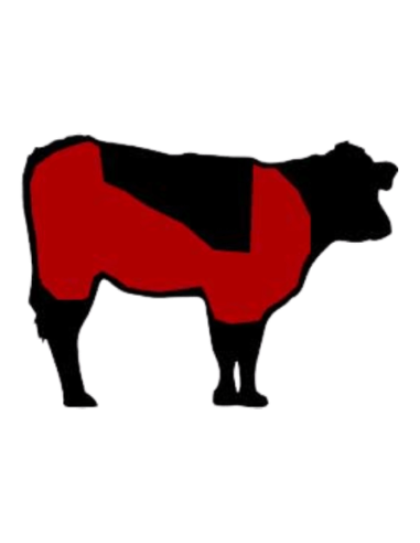 FRICANDÓ DE TERNERA ECOLÓGICA