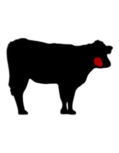 CARRILLERAS DESUESADAS DE TERNERA ECOLÓGICA 2