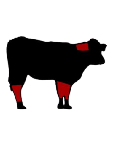 Carne para Guisos de Ternera Ecológica | Compra Ahora