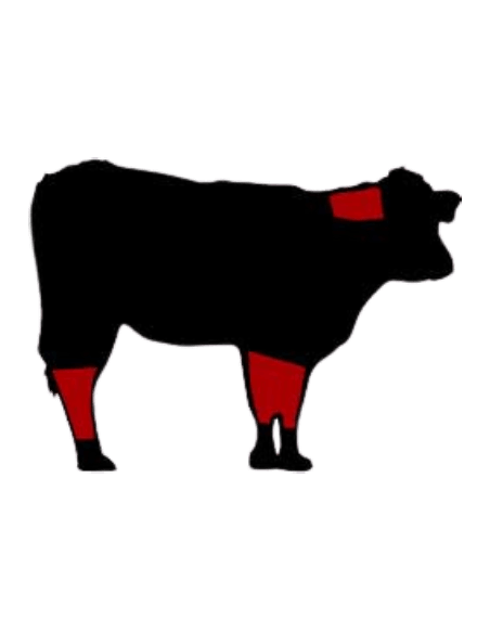 BRIDADO DE TERNERA ECOLÓGICA