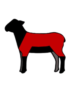 🥩 Cordero Variado Ecológico – A Domicilio Barcelona 2