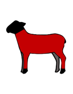 LOTE DE MEDIO CORDERO - 6 KGS ECOLÓGICO 2