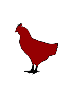 Pollo Ecológico Molí de Bonsfills | Compra Online a Domicilio 2