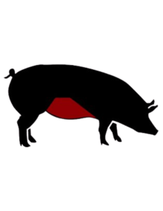 CANSALADA VENTRESCA DE PORC ECOLÒGIC 2