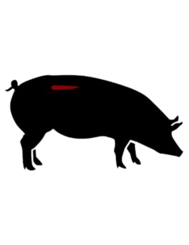 🥩 Solomillo de Cerdo Ecológico | Ternura y Sabor Premium