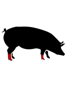 PIE CRUDO DE CERDO ECOLÓGICO 2