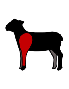 ESPALDA DE CORDERO ECOLÓGICO 2