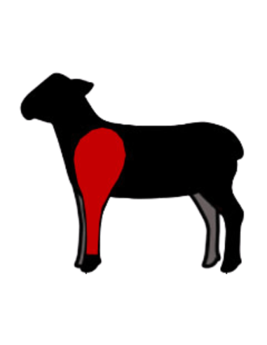 ESPALDA DE CORDERO ECOLÓGICO