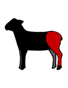 Pierna de Cordero Ecológico | Compra Online en Vilamercat 2