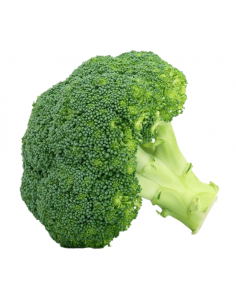 Brócoli Ecológico KG