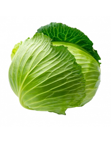 Col Ecológica (UNIDAD)