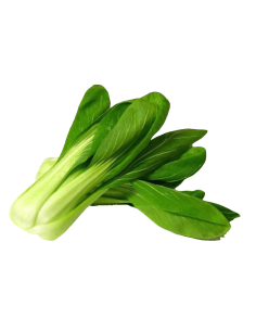 Pak Choi Ecológico