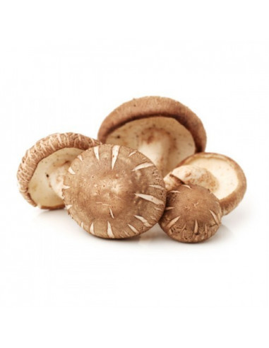 SHIITAKE - CAIXA 2.5Kg
