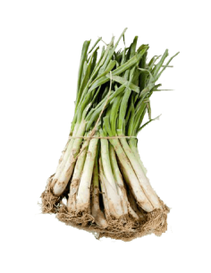 Calçots Ecològics