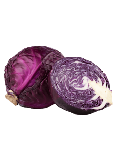 Col Morada Ecológica (Unidad)