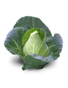 Col Picuda Ecológica (Unidad)