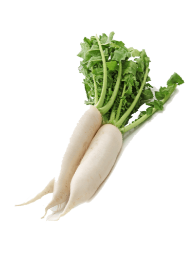 Rave Daikon Ecològic