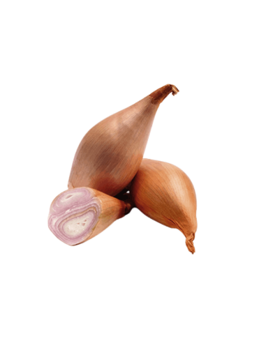 CEBOLLA CHALOTA MALLA 250Gr.