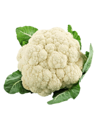COLIFLOR (UNITAT Aprox 1Kg)
