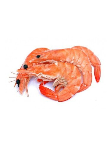 LANGOSTINO COCIDO (MEDIANO)