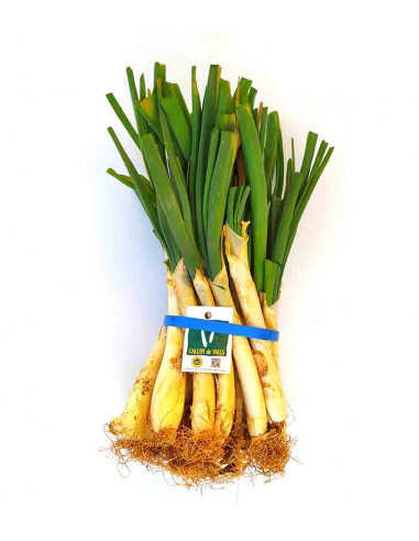 CALÇOTS VALLS MANAT