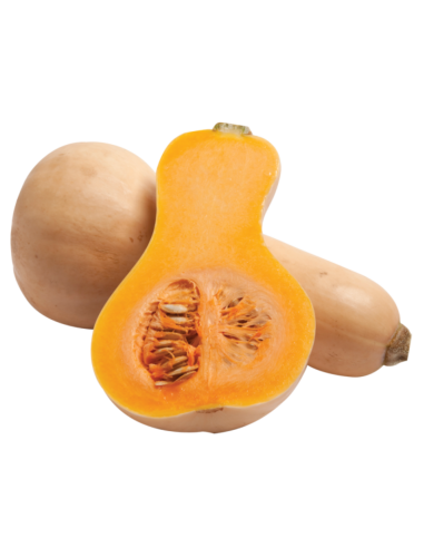 CALABAZA VIOLIN NACIONAL KG