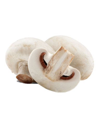 CHAMPIÑON CULTIVO CON PIE