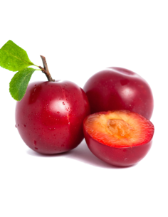 CIRUELA ROJA NACIONAL