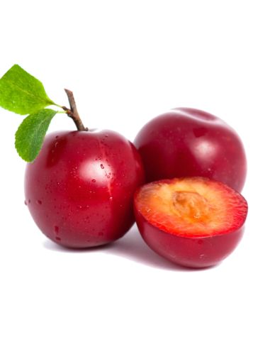 CIRUELA ROJA NACIONAL