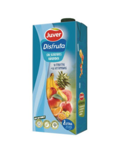 NECTAR JUVER DISFRUTA 10+10 2L