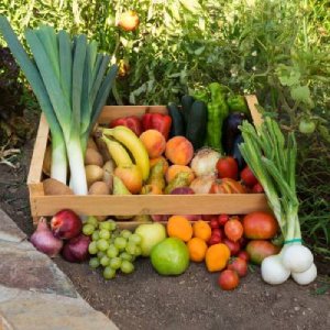 Caja mixta grande