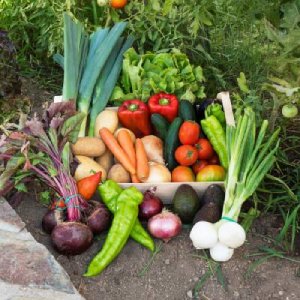 Caja fruta mediana