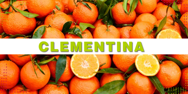 Clementines: Propietats, Beneficis i Curiositats