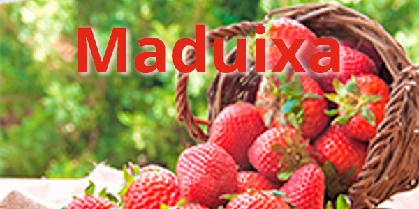 Maduixa