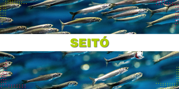 Seito